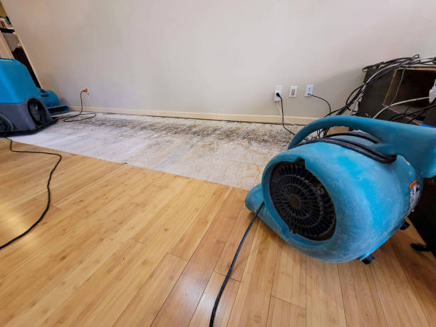 Professional Water Damage Repair technician working in Bruceton, TN
